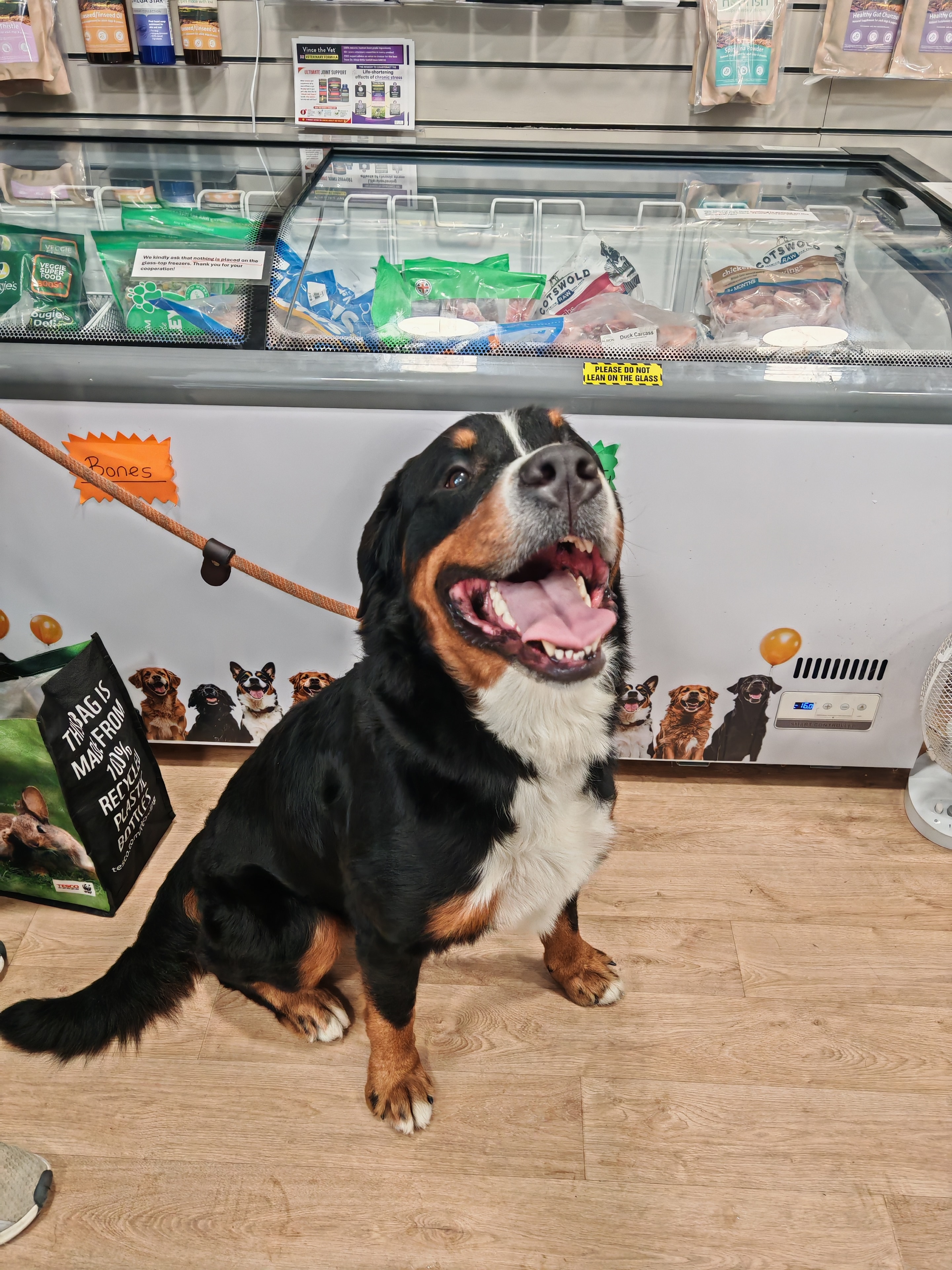 Chews & Enrichment